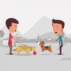 Pitpat – Character Animated Explainer Video